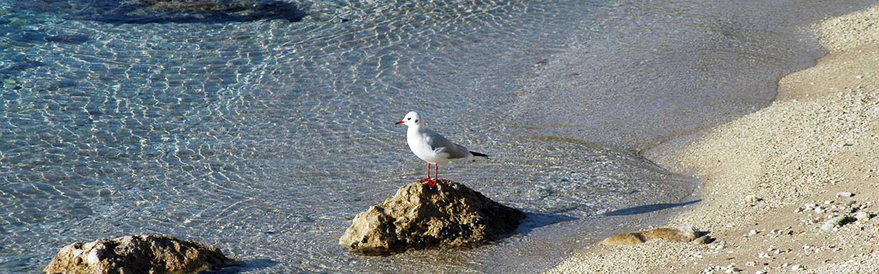 Západ slunce Riviera Dugi Rat